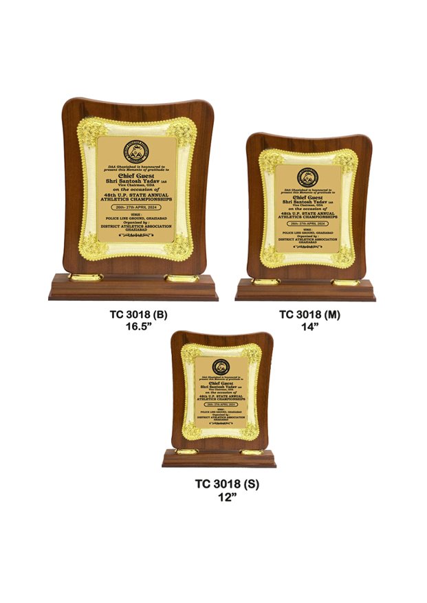 Plastic Frame Trophy in Delhi