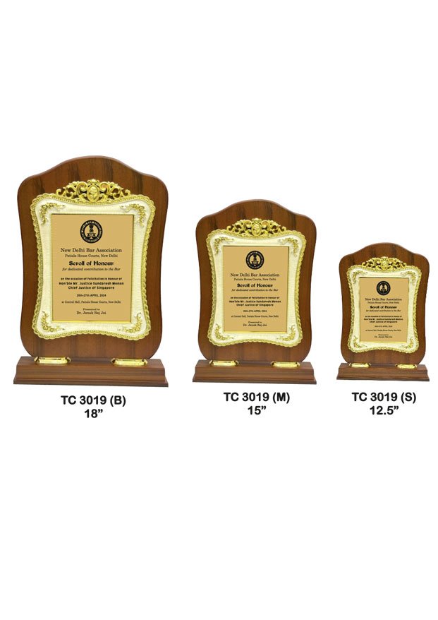 Plastic Frame Trophy in Delhi
