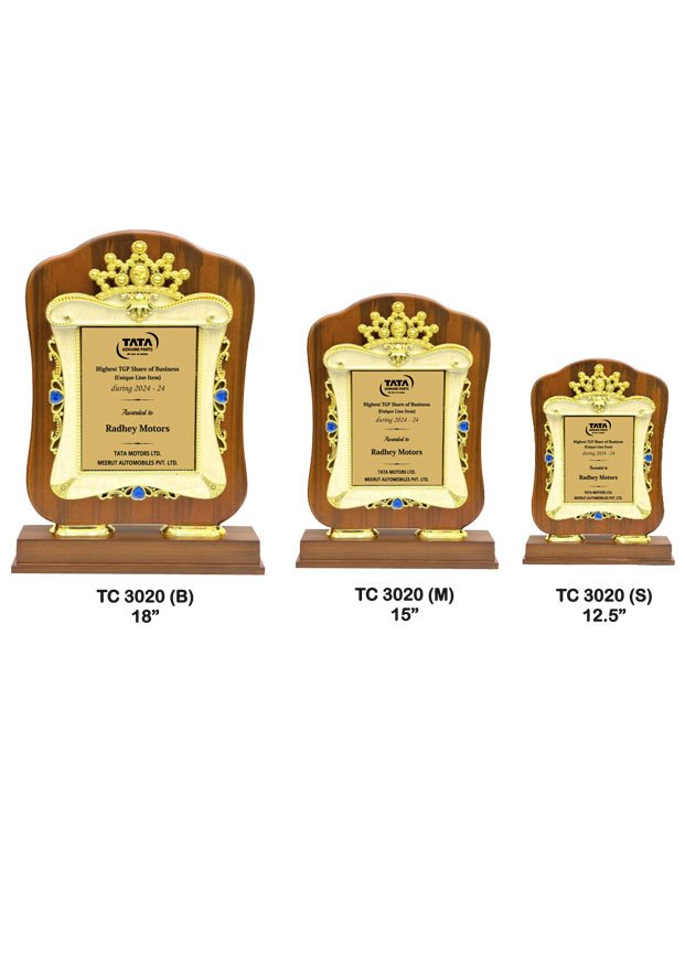 Plastic Frame Trophy in Delhi