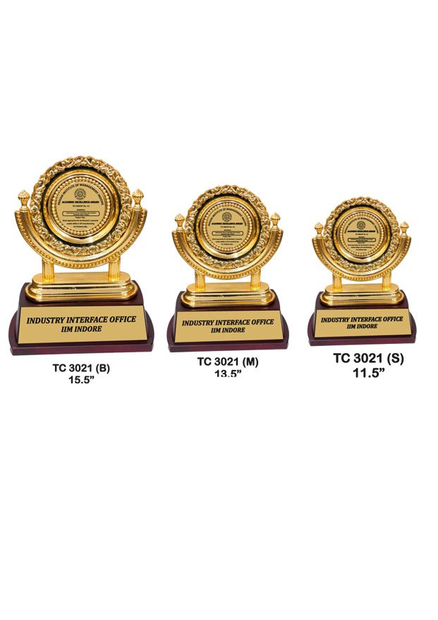 Plastic Frame Trophy in Delhi
