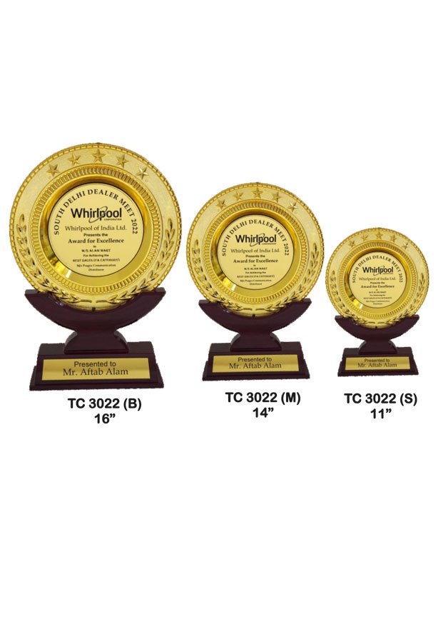 Plastic Frame Trophy in Delhi