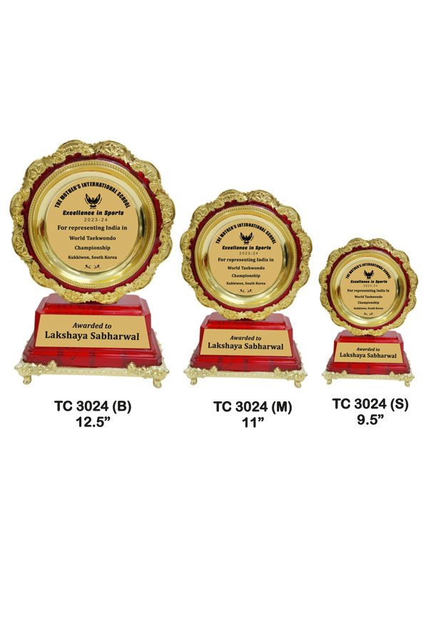 Plastic Frame Trophy in Delhi