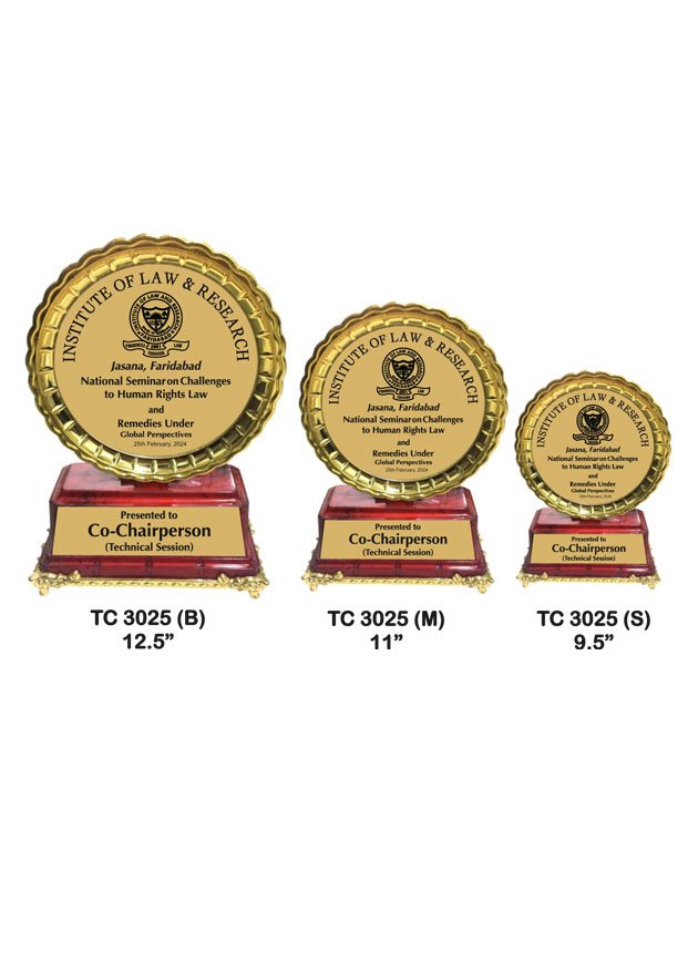 Plastic Frame Trophy in Delhi