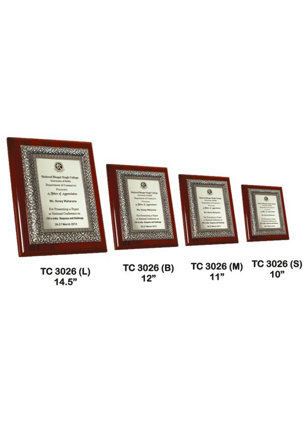 Plastic Frame Trophy in Delhi