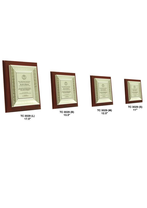 Plastic Frame Trophy in Delhi