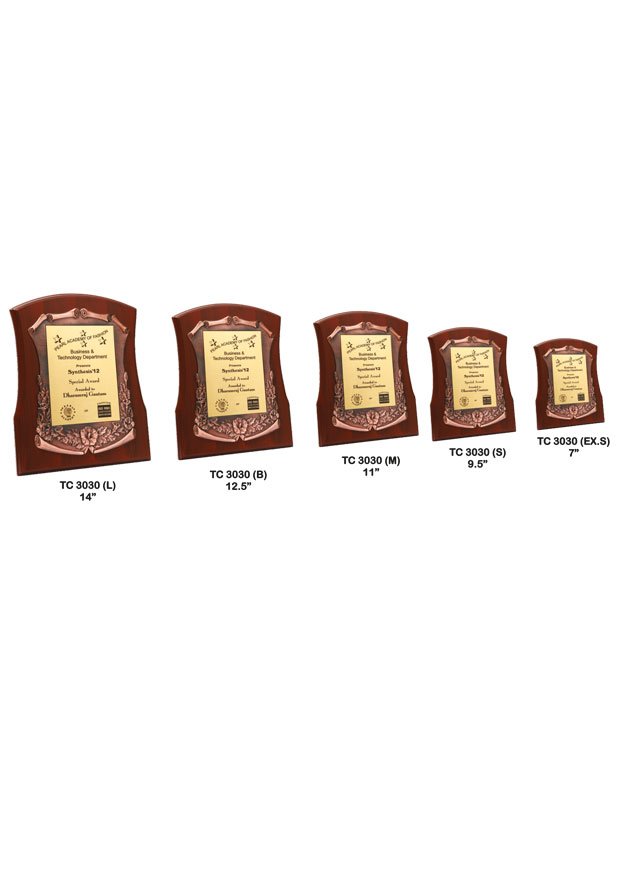 Plastic Frame Trophy in Delhi