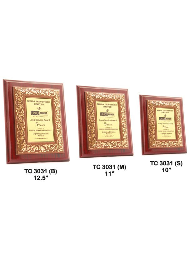 Plastic Frame Trophy in Delhi