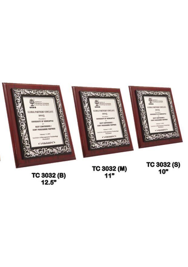 Plastic Frame Trophy in Delhi