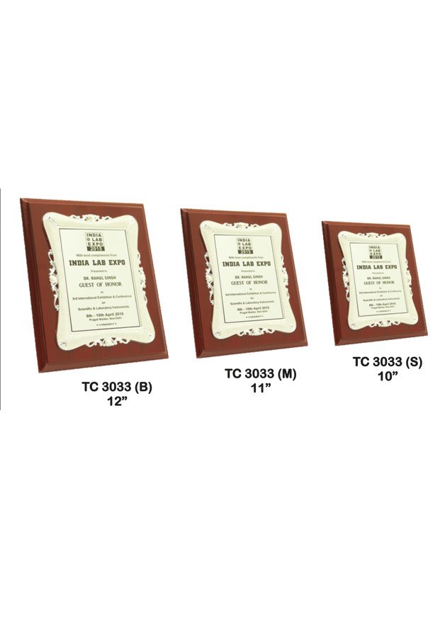 Plastic Frame Trophy in Delhi