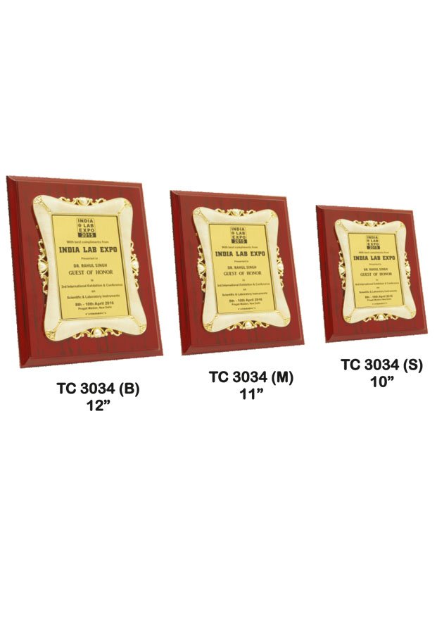 Plastic Frame Trophy in Delhi
