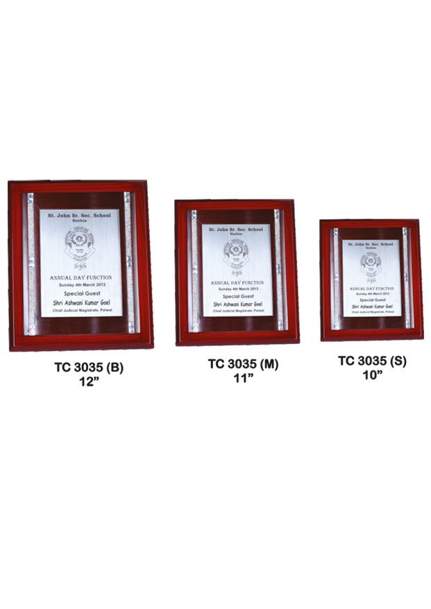 Plastic Frame Trophy in Delhi