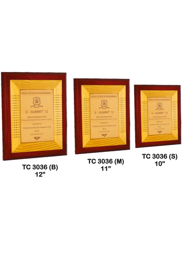 Plastic Frame Trophy in Delhi