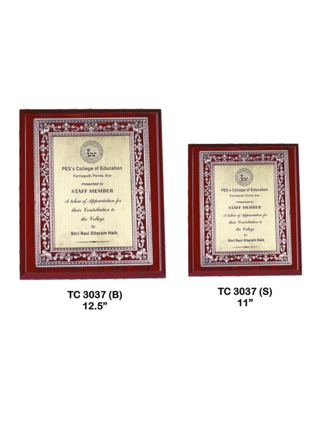 Plastic Frame Trophy in Delhi