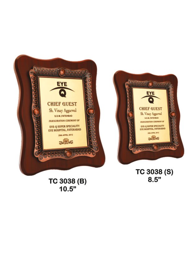 Plastic Frame Trophy in Delhi