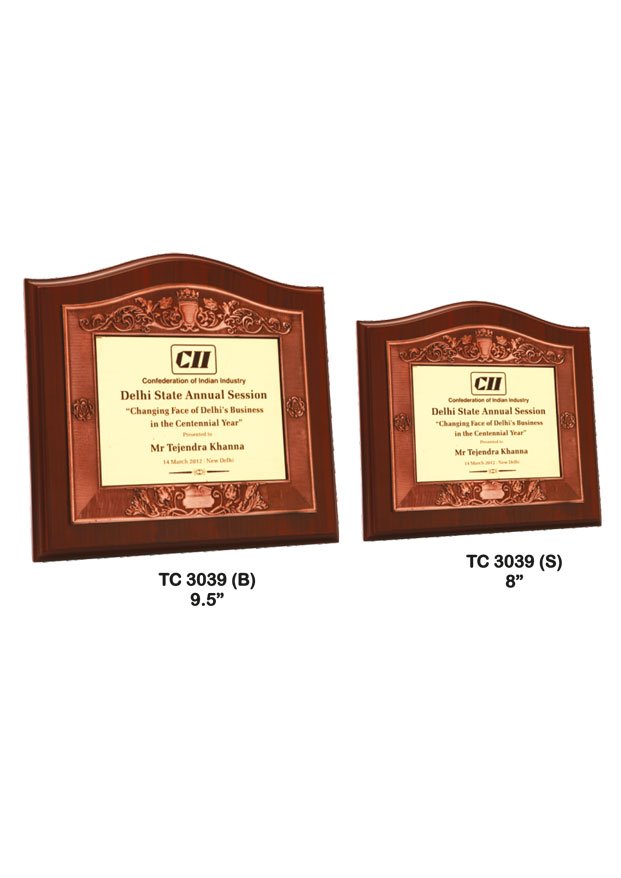 Plastic Frame Trophy in Delhi
