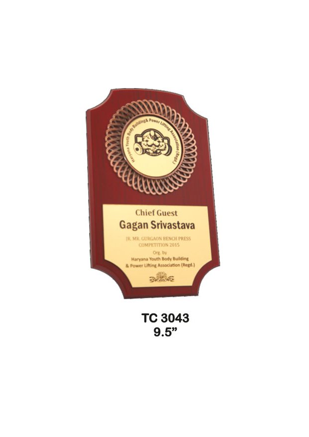Plastic Frame Trophy in Delhi