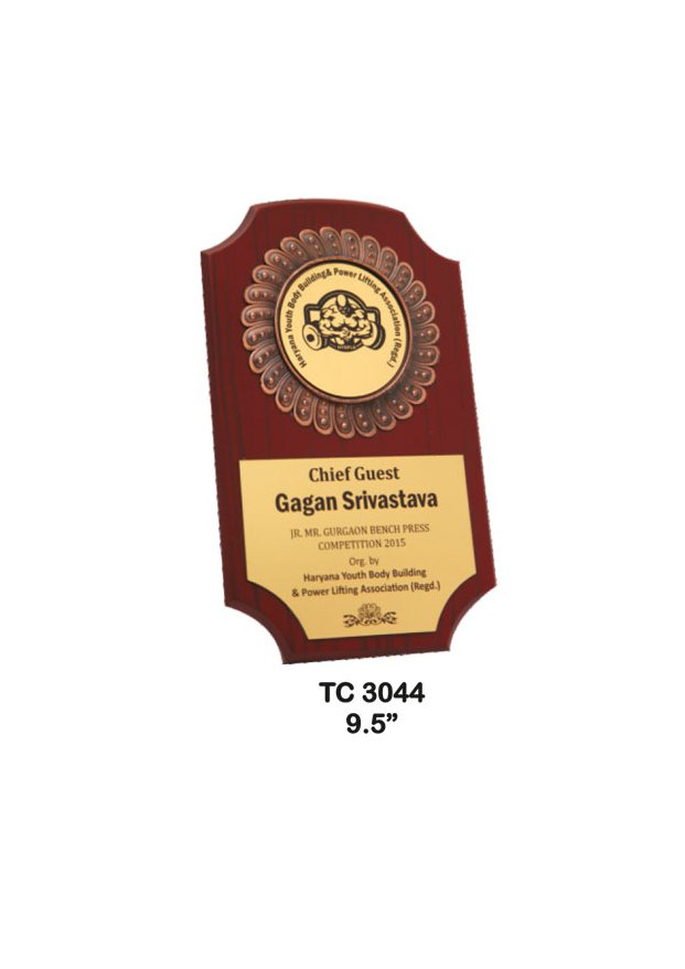 Plastic Frame Trophy in Delhi