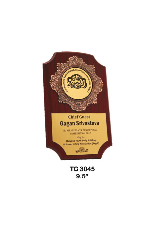 Plastic Frame Trophy in Delhi