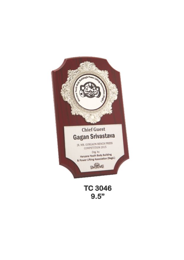 Plastic Frame Trophy in Delhi