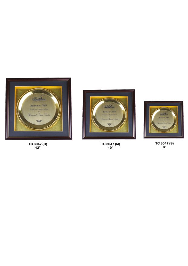 Plastic Frame Trophy in Delhi