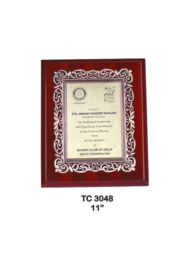 Plastic Frame Trophy in Delhi