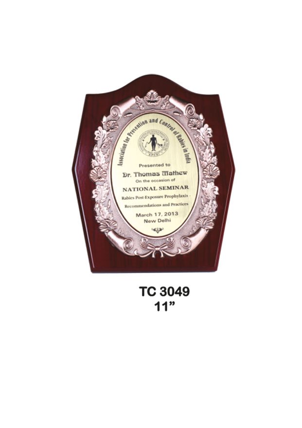 Plastic Frame Trophy in Delhi