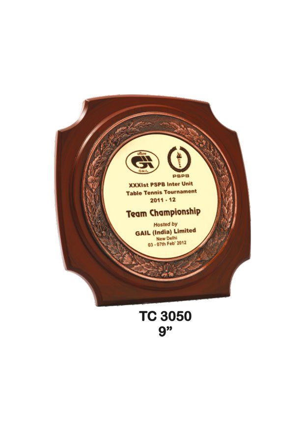 Plastic Frame Trophy in Delhi