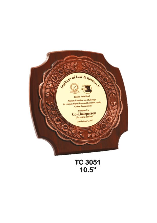 Plastic Frame Trophy in Delhi