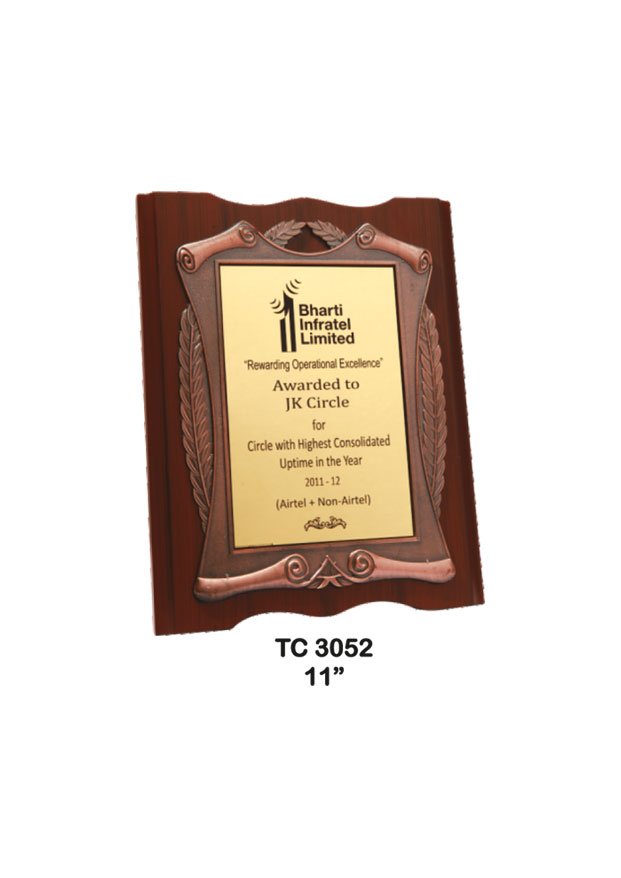Plastic Frame Trophy in Delhi