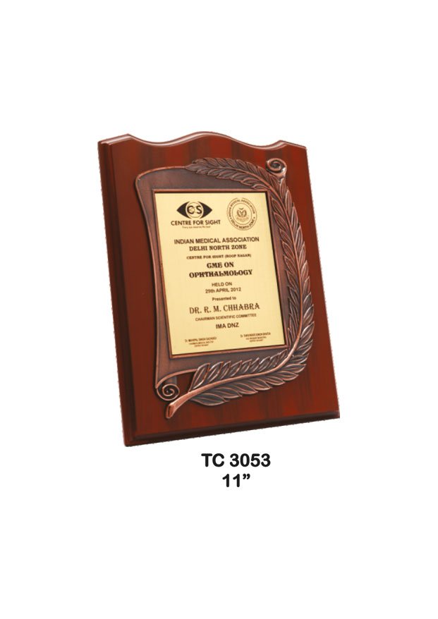 Plastic Frame Trophy in Delhi