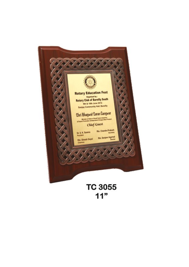 Plastic Frame Trophy in Delhi