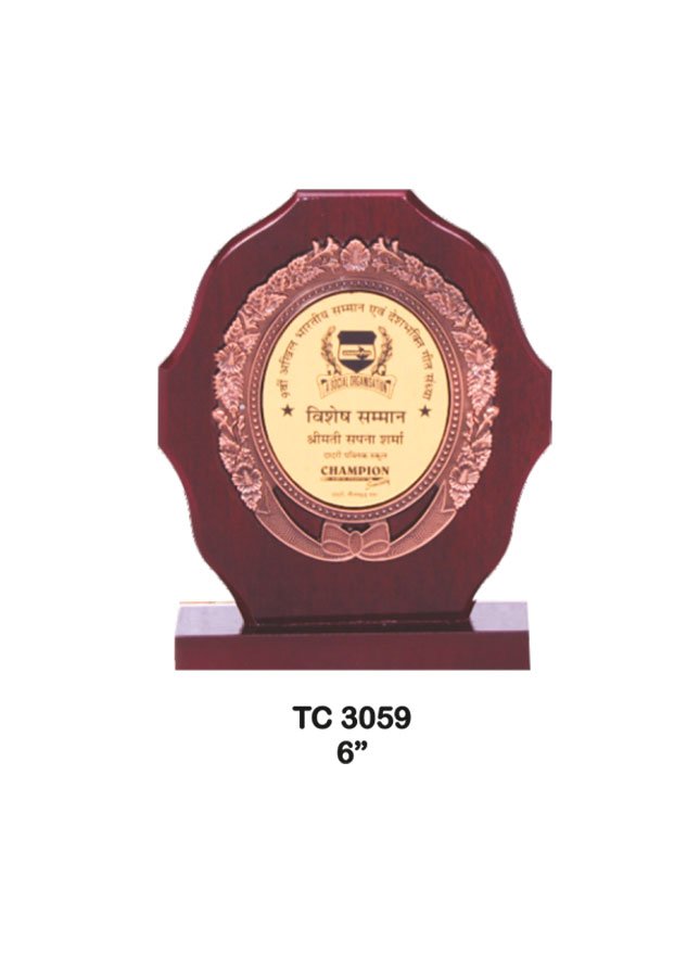 Plastic Frame Trophy supplier in Kolkata