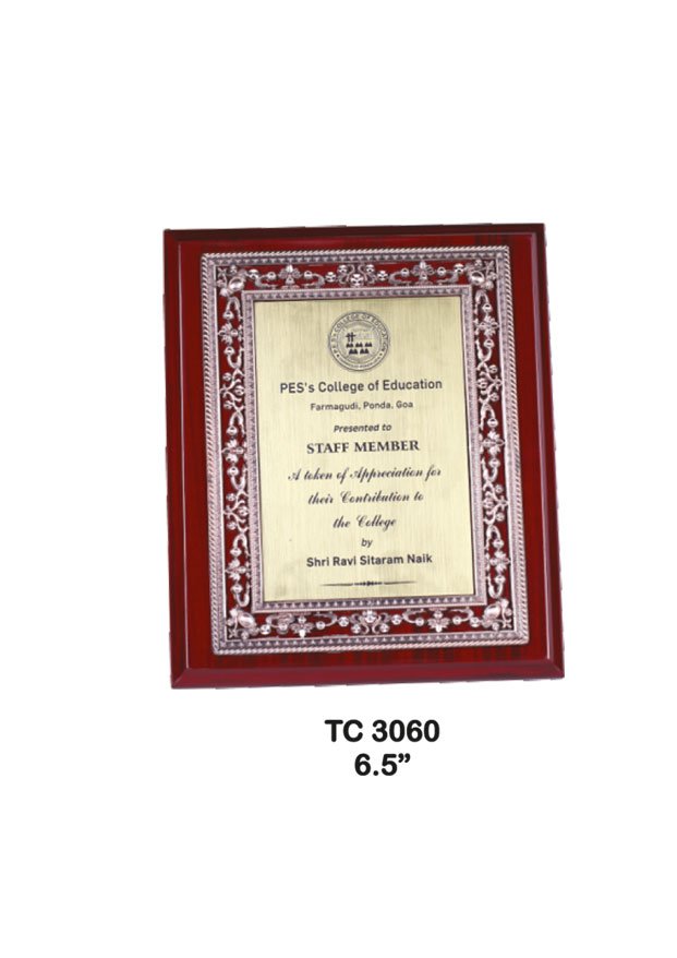 Plastic Frame Trophy supplier in Kolkata