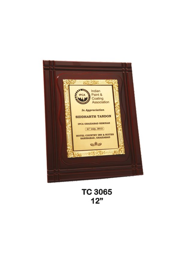Plastic Frame Trophy supplier in Uttar Pradesh