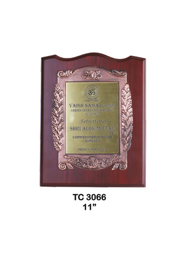 Plastic Frame Trophy supplier in Uttar Pradesh