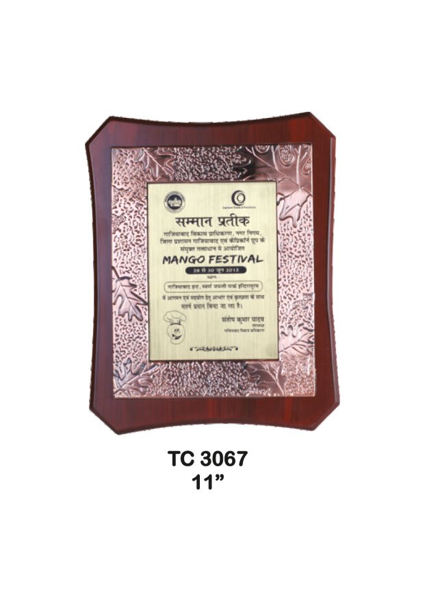 Plastic Frame Trophy supplier in Uttar Pradesh