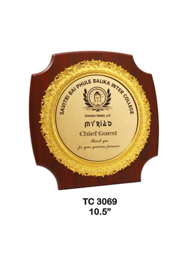 Plastic Frame Trophy supplier in Rajasthan