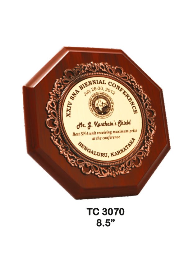 Plastic Frame Trophy supplier in Rajasthan