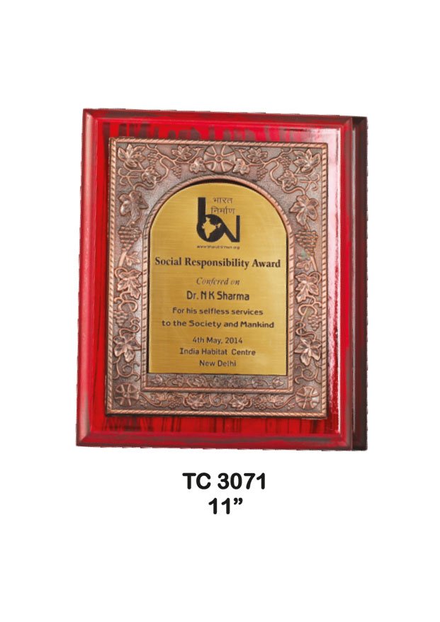 Plastic Frame Trophy supplier in Rajasthan