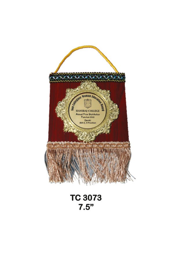 Plastic Frame Trophy supplier in Rajasthan