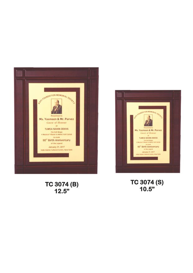Plastic Frame Trophy supplier in Rajasthan