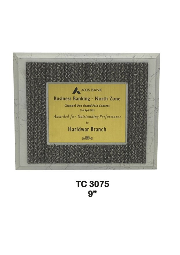 Plastic Frame Trophy supplier in Rajasthan