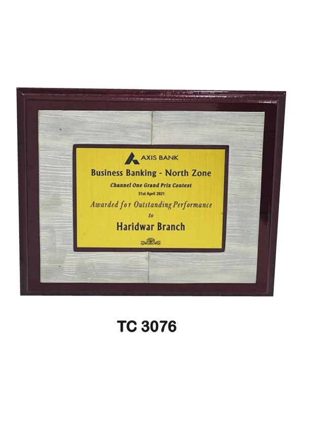 Plastic Frame Trophy supplier in Jaipur