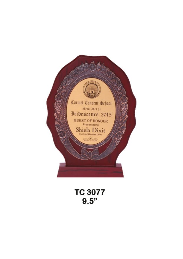 Plastic Frame Trophy supplier in Jaipur