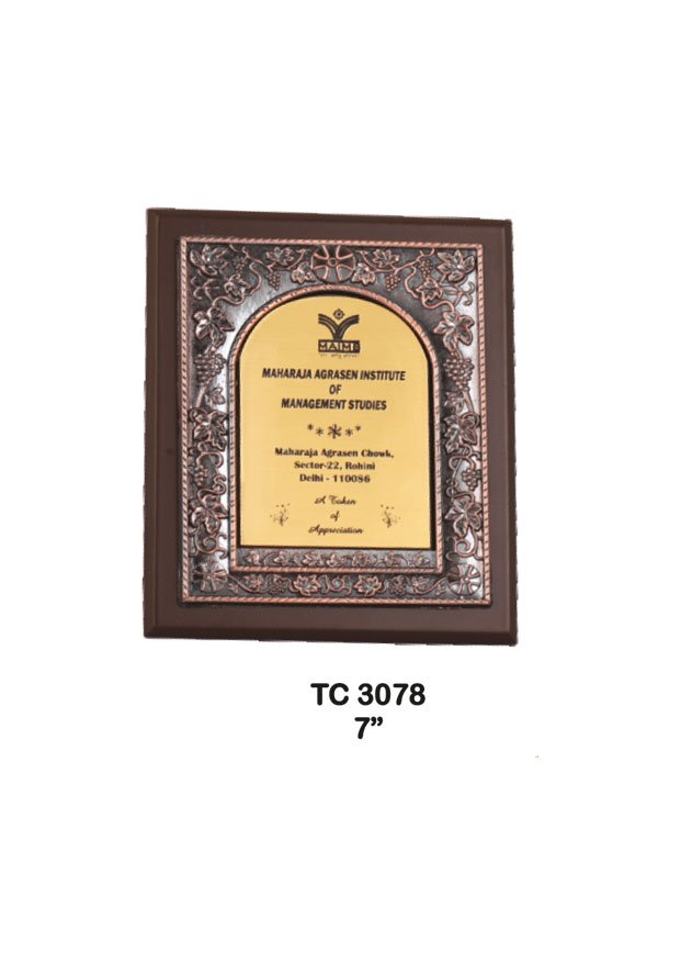 Plastic Frame Trophy supplier in Jaipur