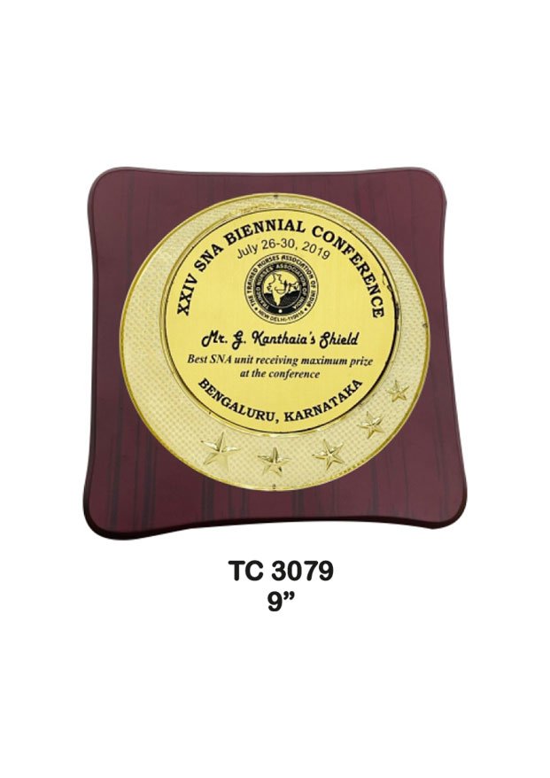 Plastic Frame Trophy supplier in Jaipur