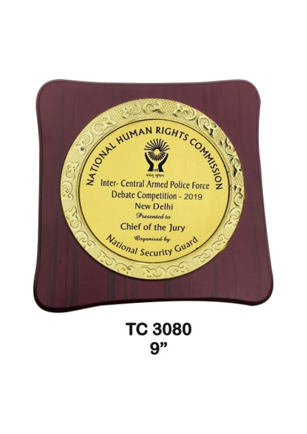 Plastic Frame Trophy supplier in Punjab