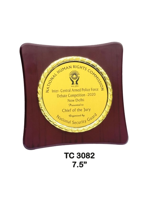 Plastic Frame Trophy supplier in Punjab