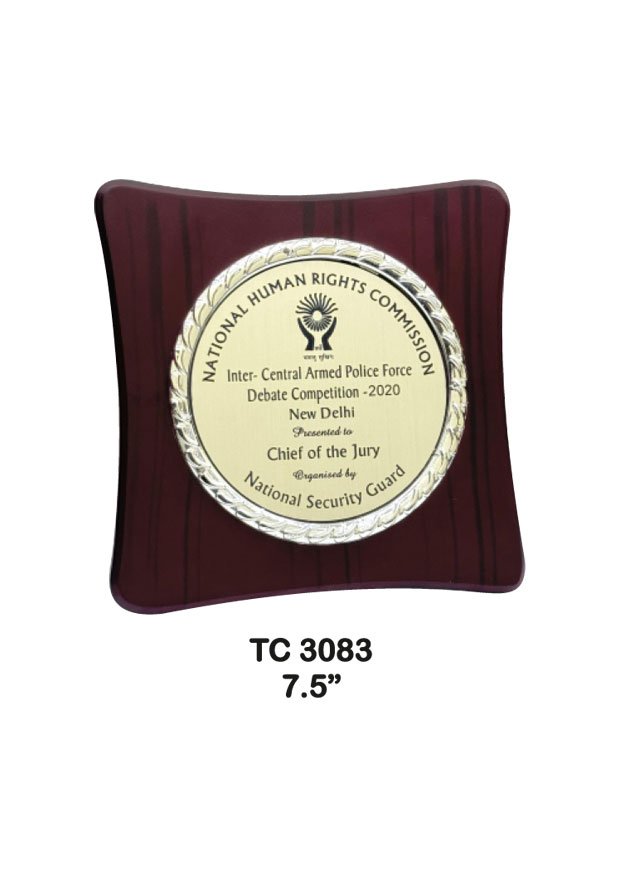 Plastic Frame Trophy supplier in Punjab