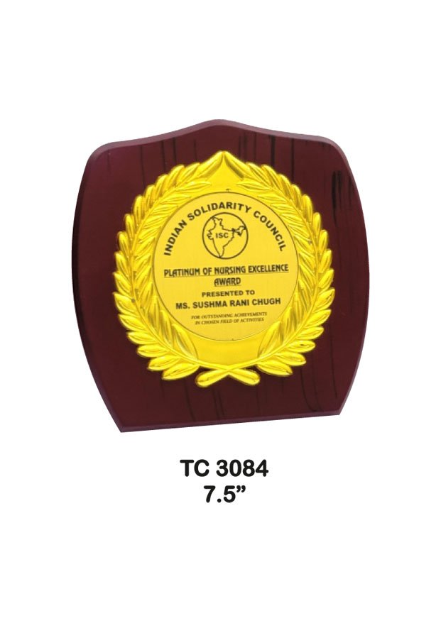 Plastic Frame Trophy supplier in Haryana